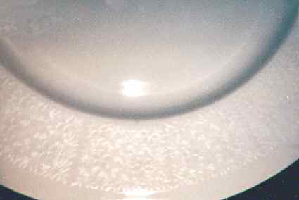 Pitsi White Dinner Plate by Arabia of Finland-1