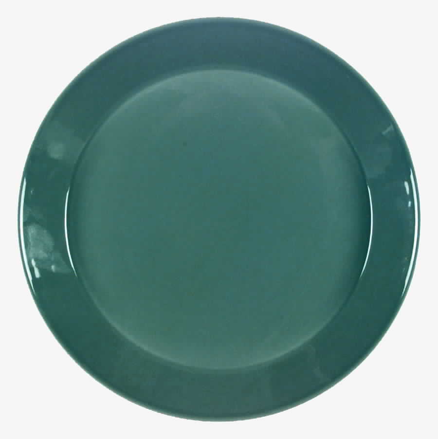 Teema Gray Dinner Plate by Arabia of Finland-1