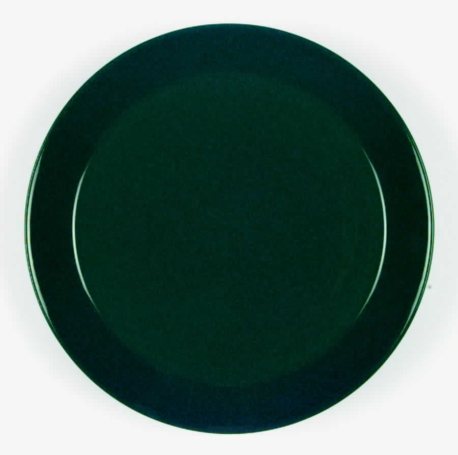 Teema Green Dinner Plate by Arabia of Finland-1