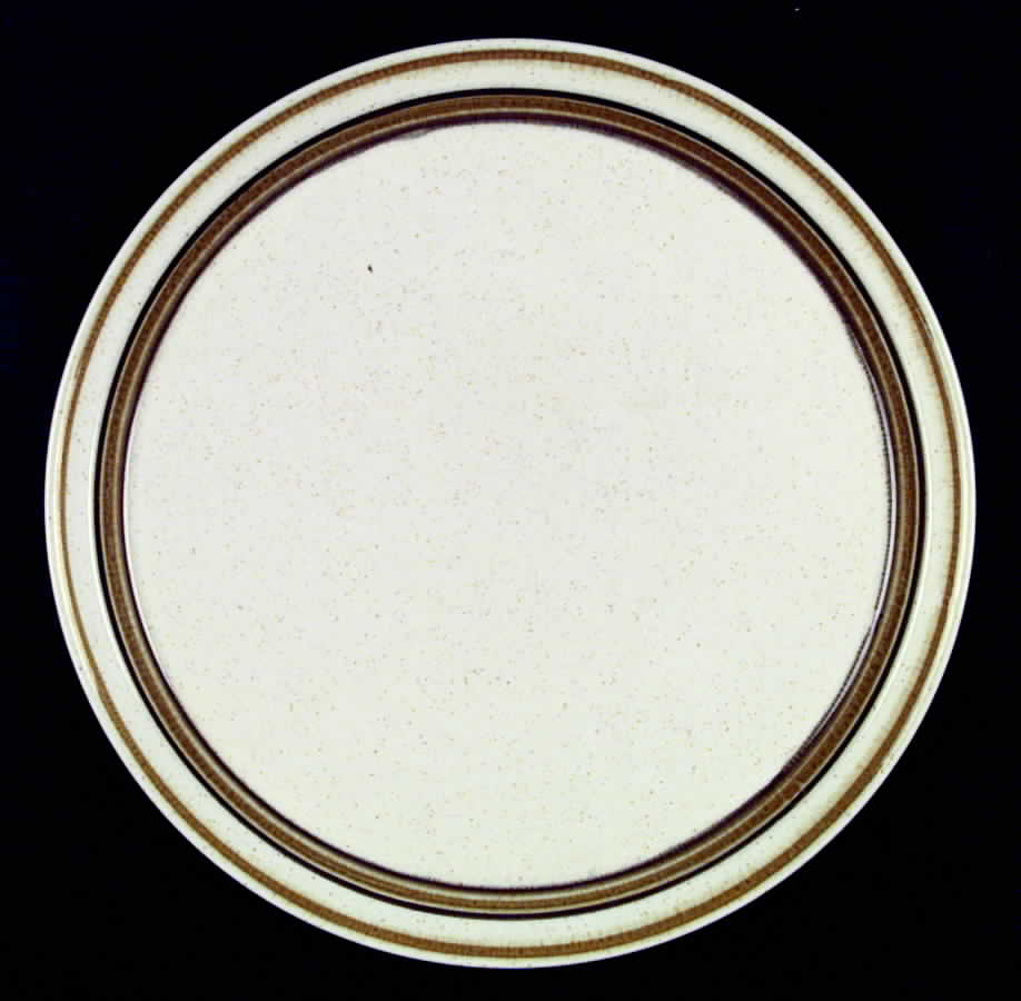 ARK4 Dinner Plate by Arklow-1