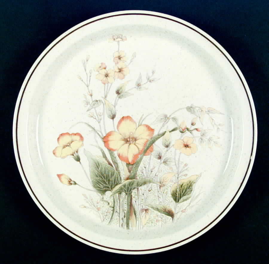Carlow Dinner Plate by Arklow-1