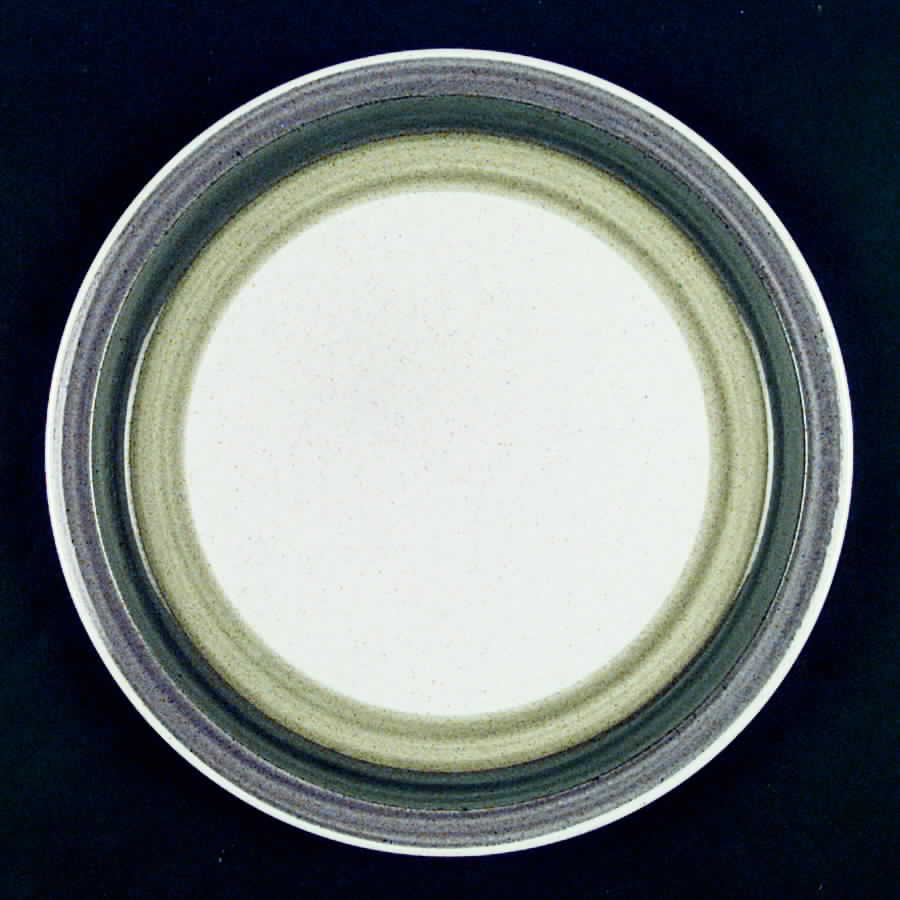 Rheinstone Dinner Plate by Arklow-1