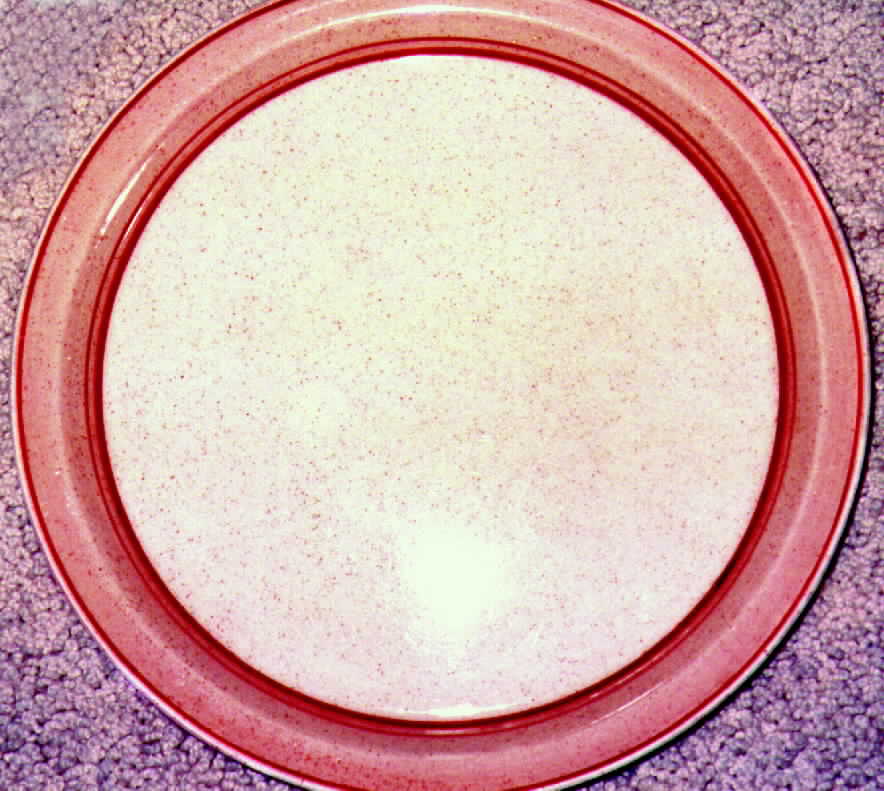 Waterford Red Dinner Plate by Arklow-1