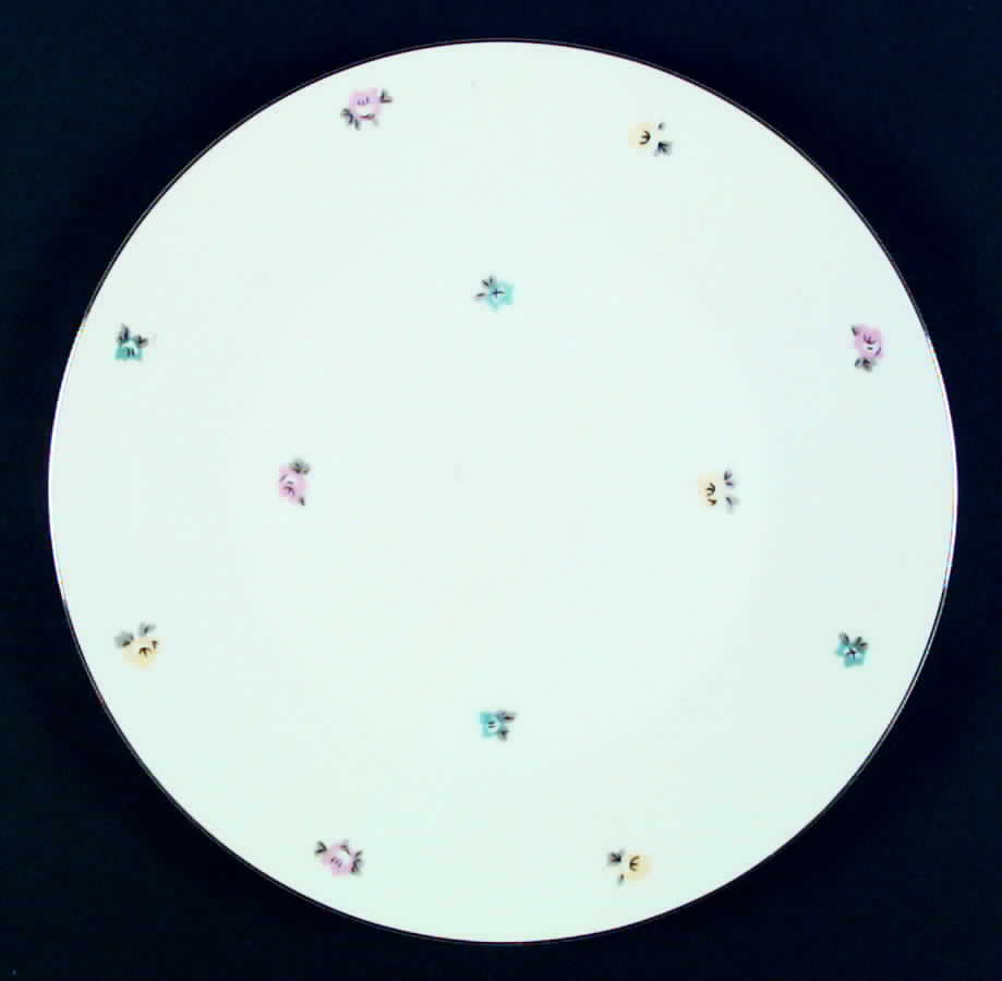 Spice Dinner Plate by Arlen-1