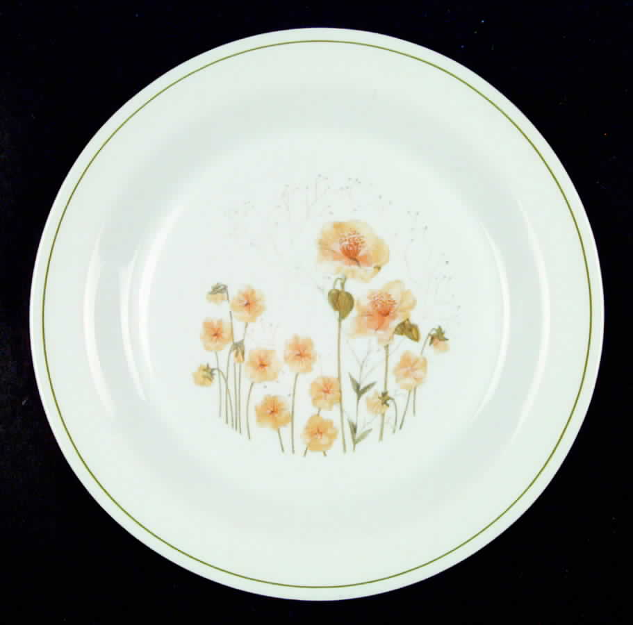 ARP3 Dinner Plate by Arcopal-1