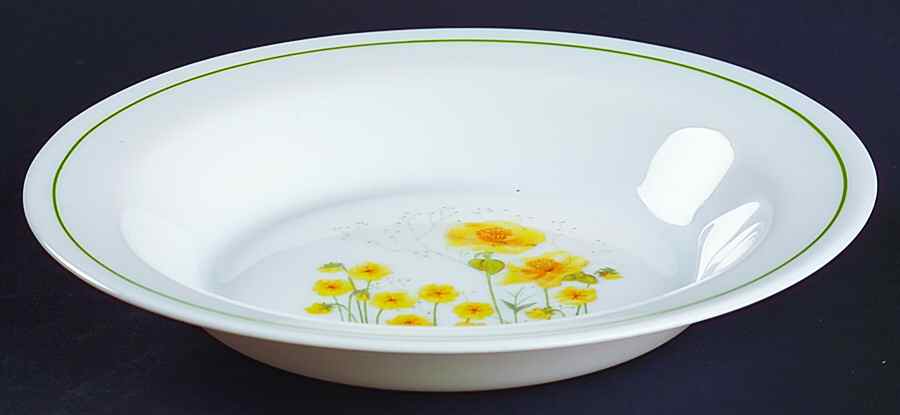 ARP3 Rim Soup Bowl by Arcopal-1
