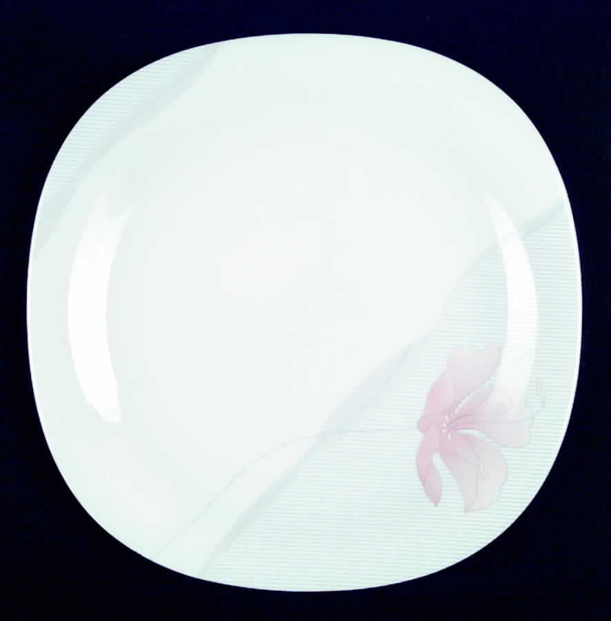 Charmille Dinner Plate by Arcopal-1