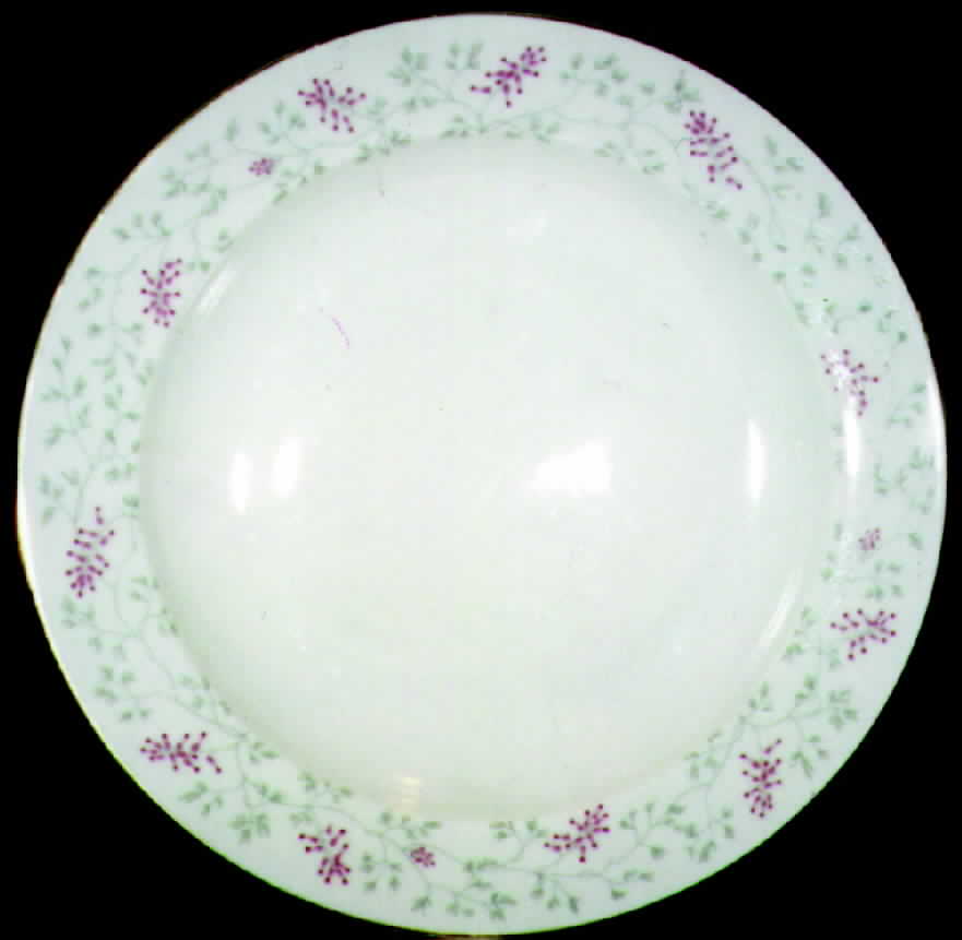 ARZ19 Dinner Plate by Arzberg-1