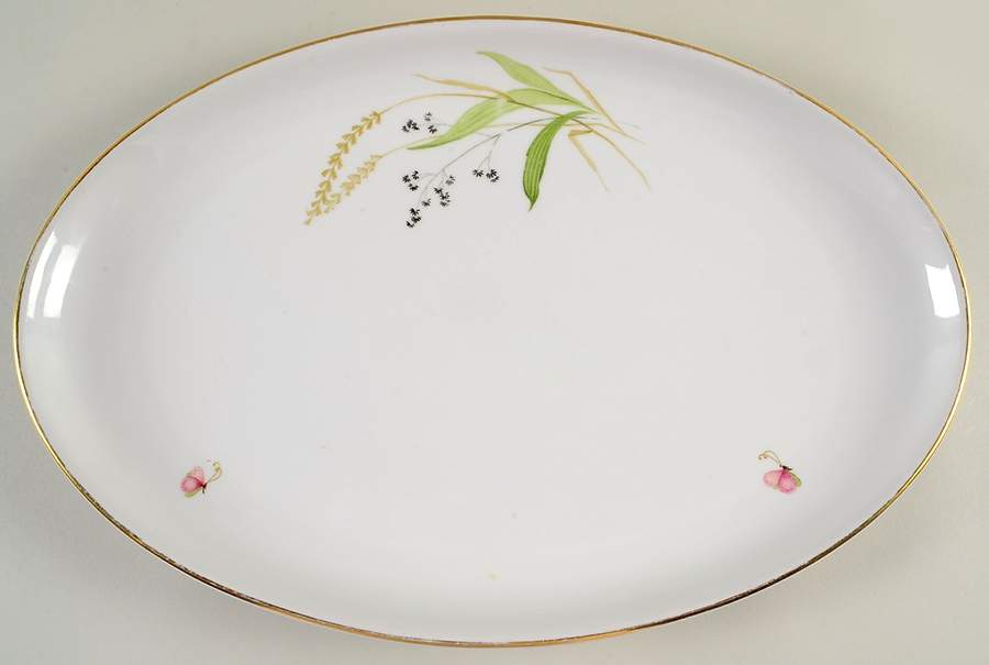 ARZ2 16" Oval Serving Platter by Arzberg-1