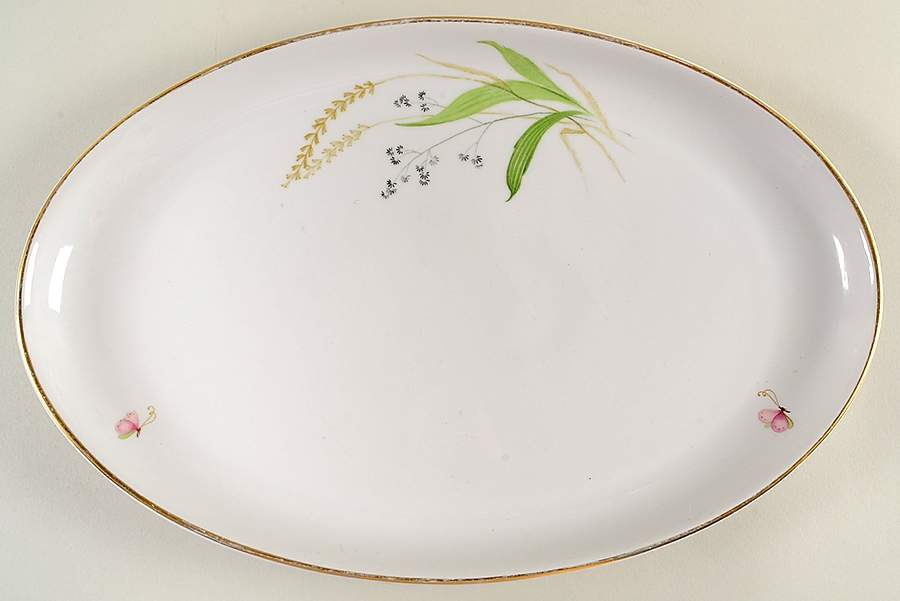ARZ2 15" Oval Serving Platter by Arzberg-1