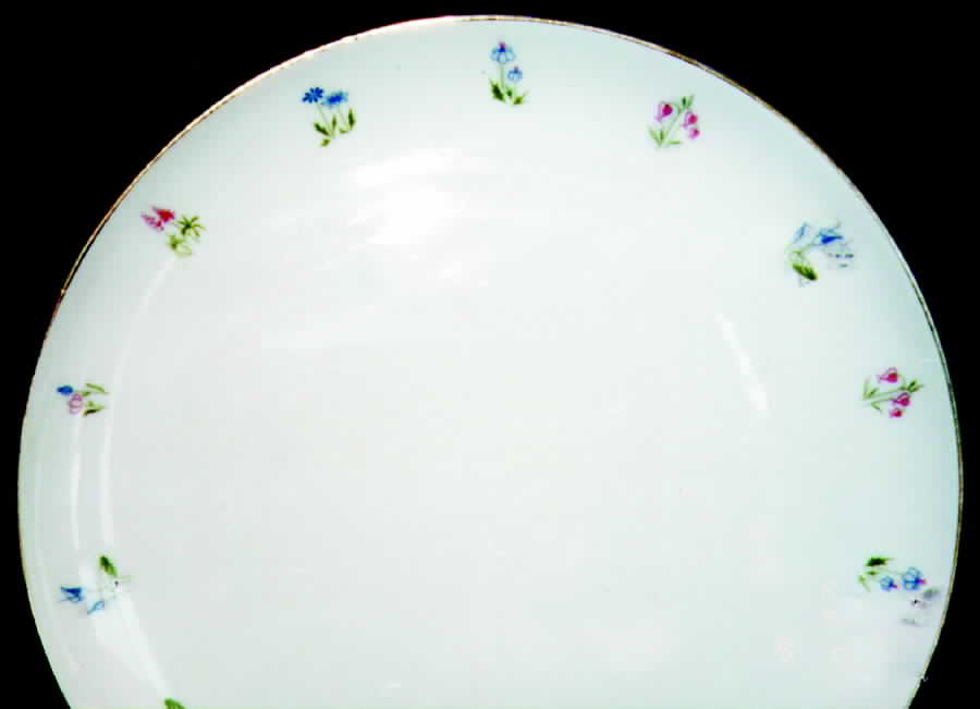ARZ37 Dinner Plate by Arzberg-1