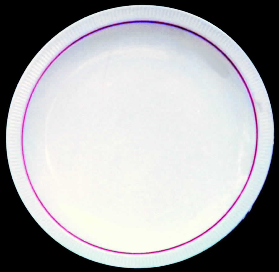 ARZ38 Dinner Plate by Arzberg-1