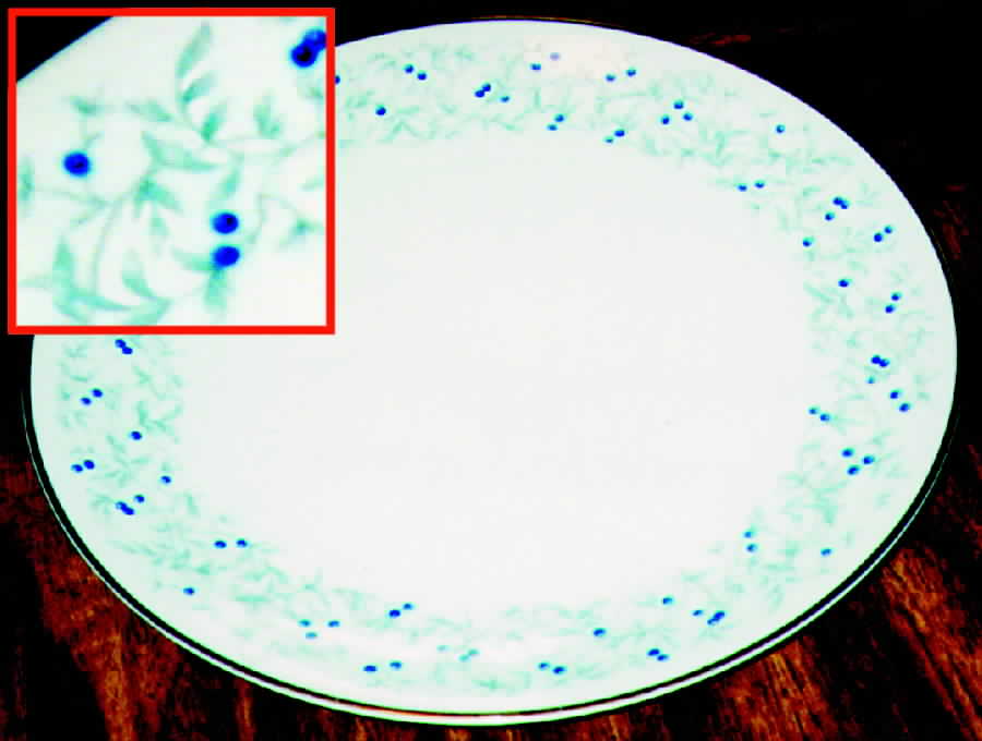 ARZ39 Dinner Plate by Arzberg-1