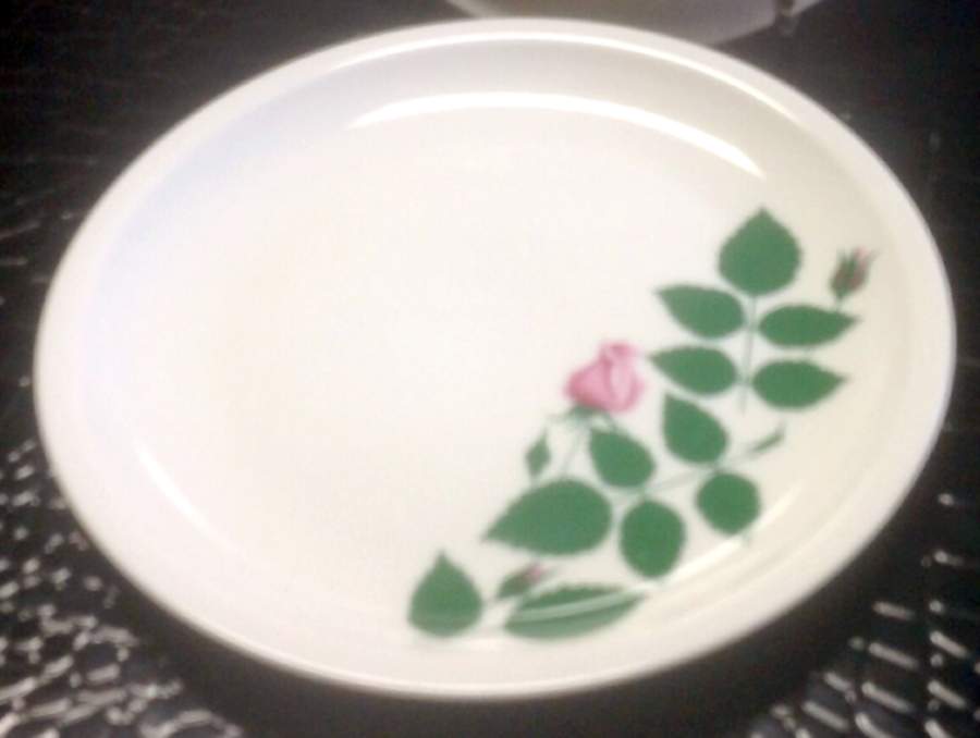 ARZ9 Salad Plate by Arzberg-1