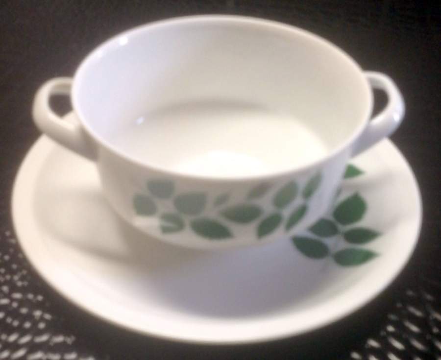 ARZ9 Flat Cream Soup Bowl & Saucer Set by Arzberg-1
