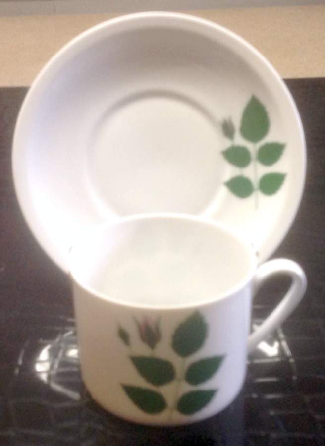 ARZ9 Flat Cup & Saucer Set by Arzberg-1