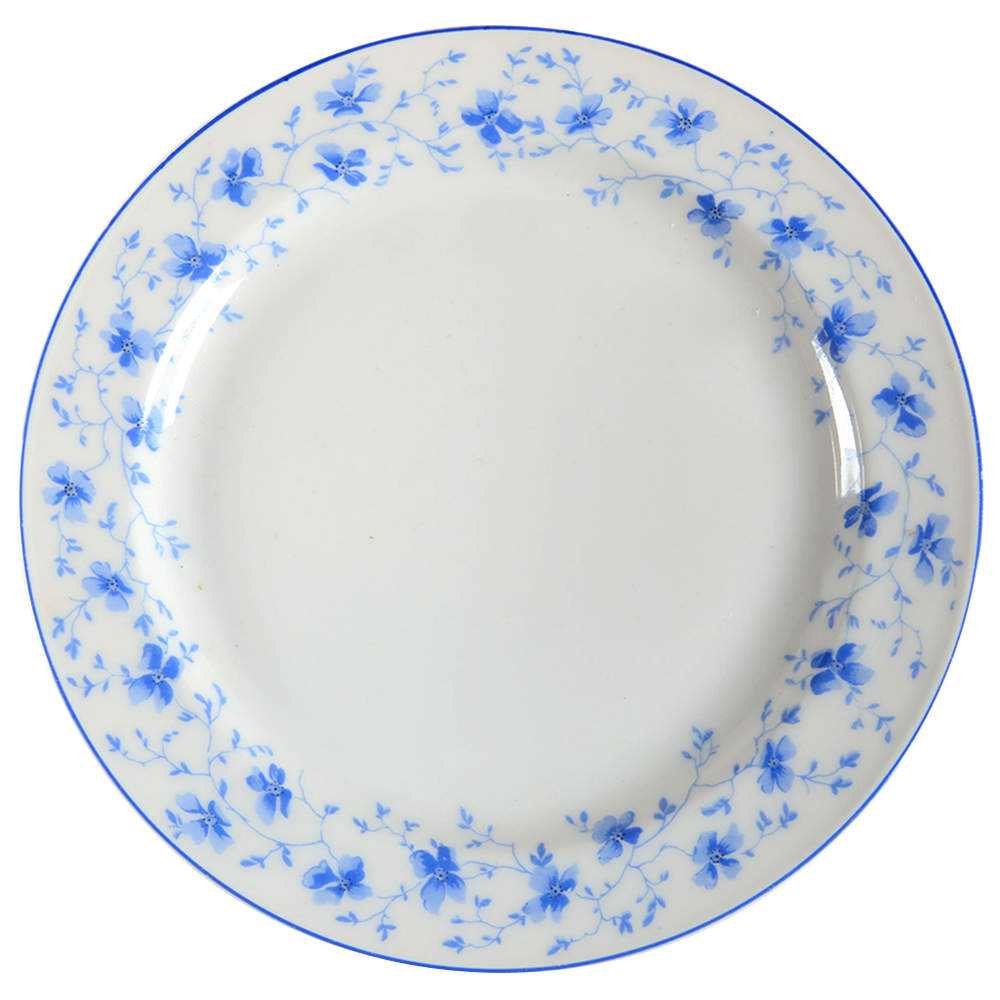 Blue Flowers (Blue Trim, Rim) Salad Plate by Arzberg-1