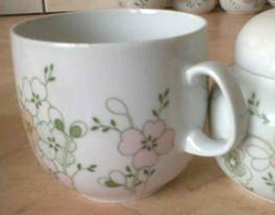 Blutenzauber Flat Cup by Arzberg-1