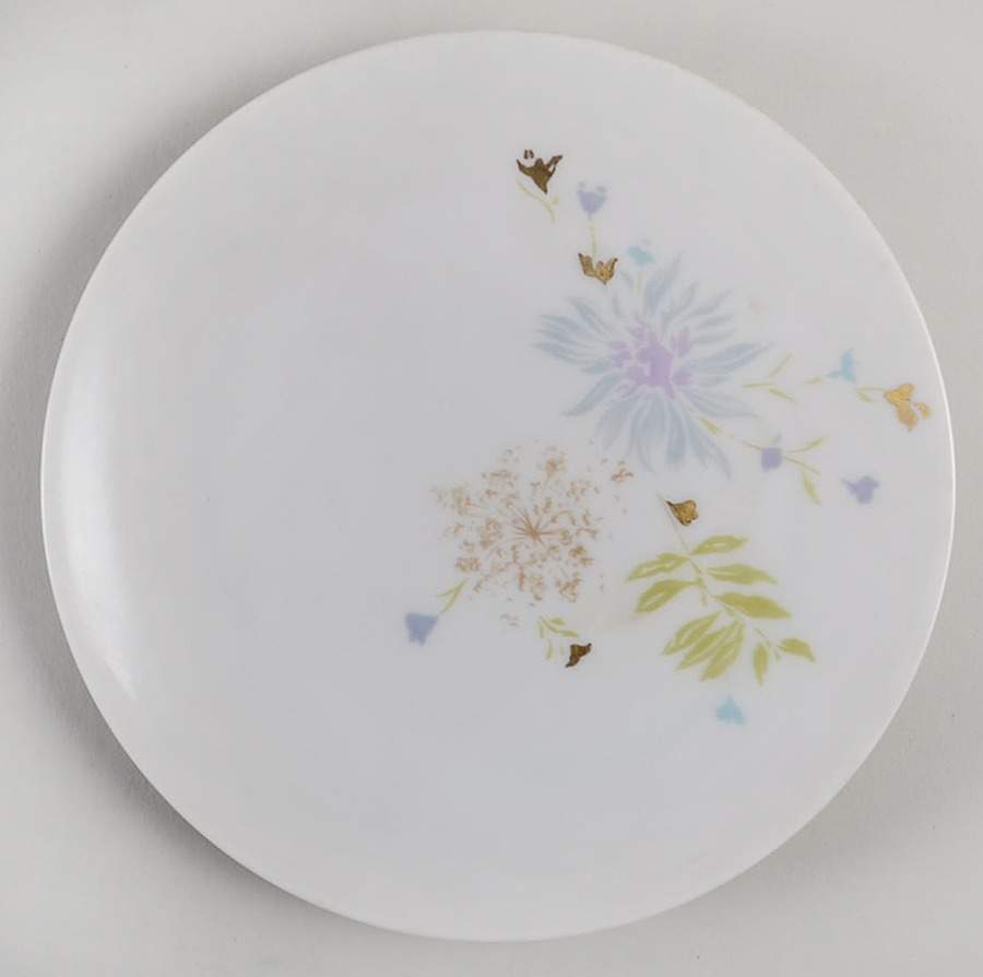 Gossamer Bread & Butter Plate by Arzberg-1