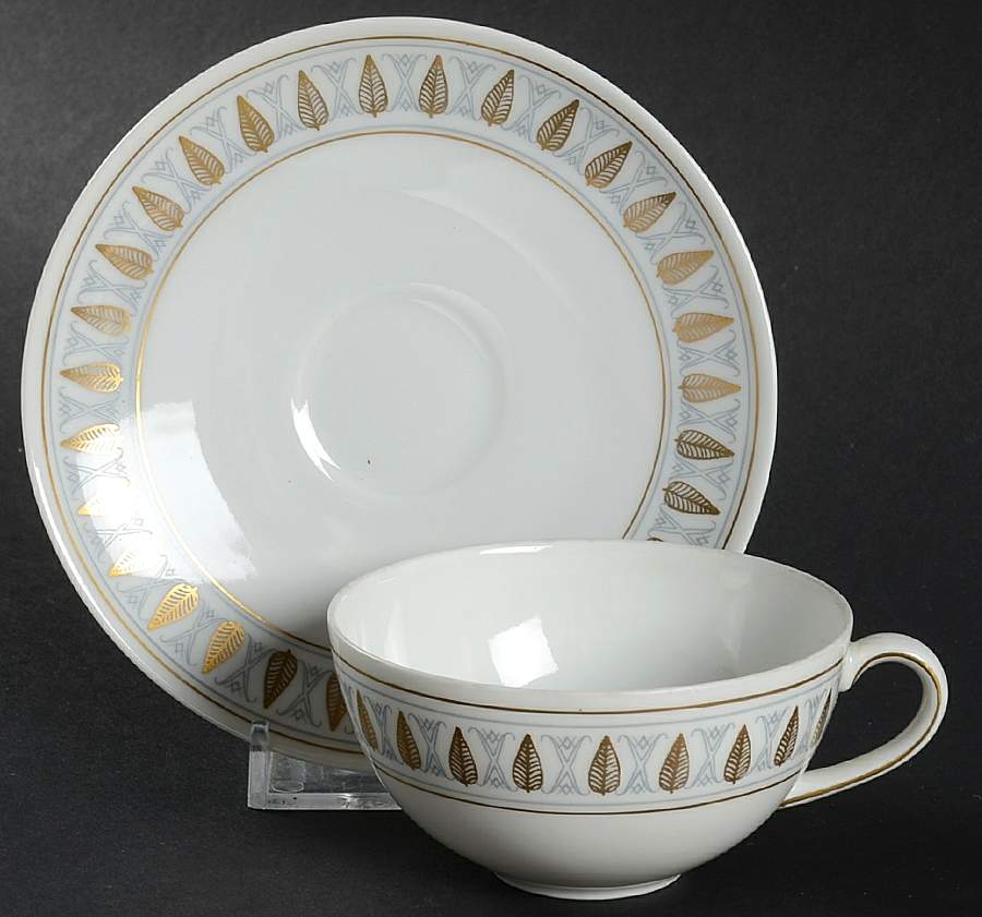 Lotus Flat Demitasse Cup & Saucer Set by Arzberg-1