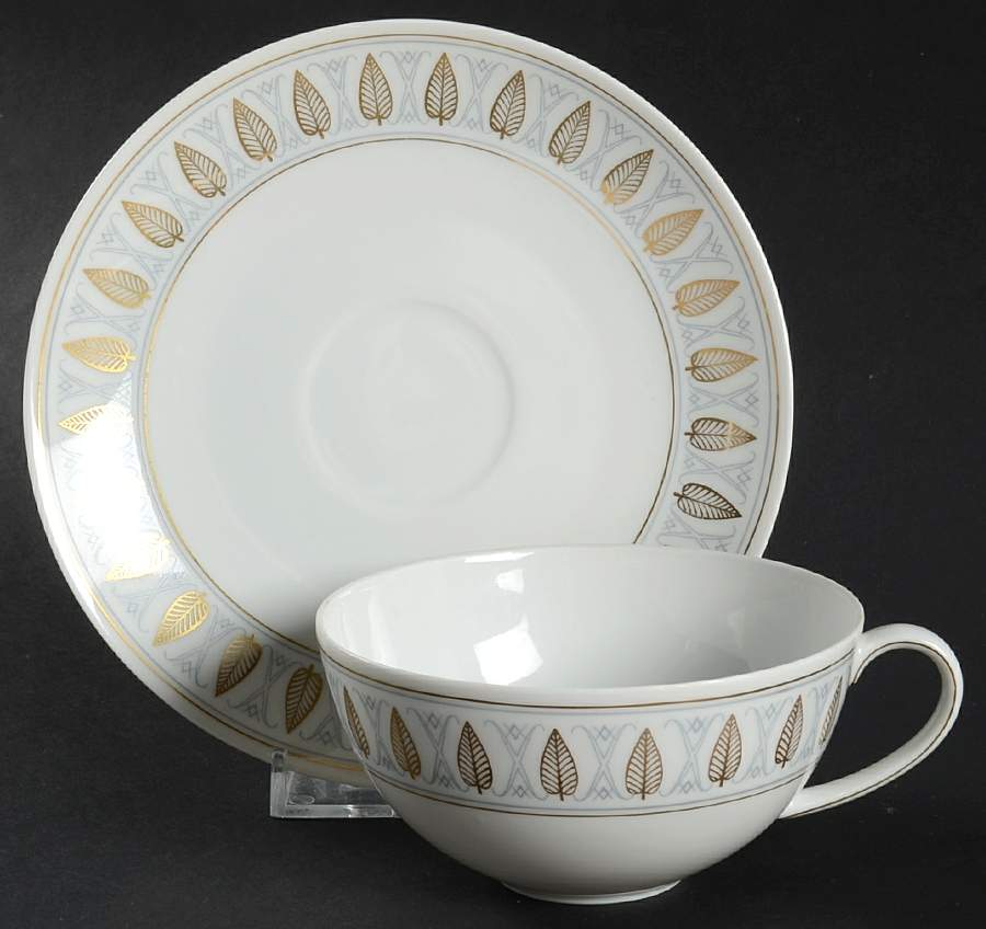 Lotus Flat Cup & Saucer Set by Arzberg-1
