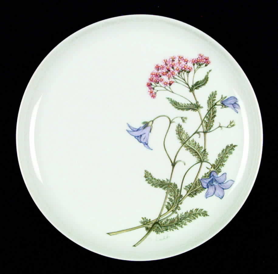 Meadow Flowers Salad Plate by Arzberg-1