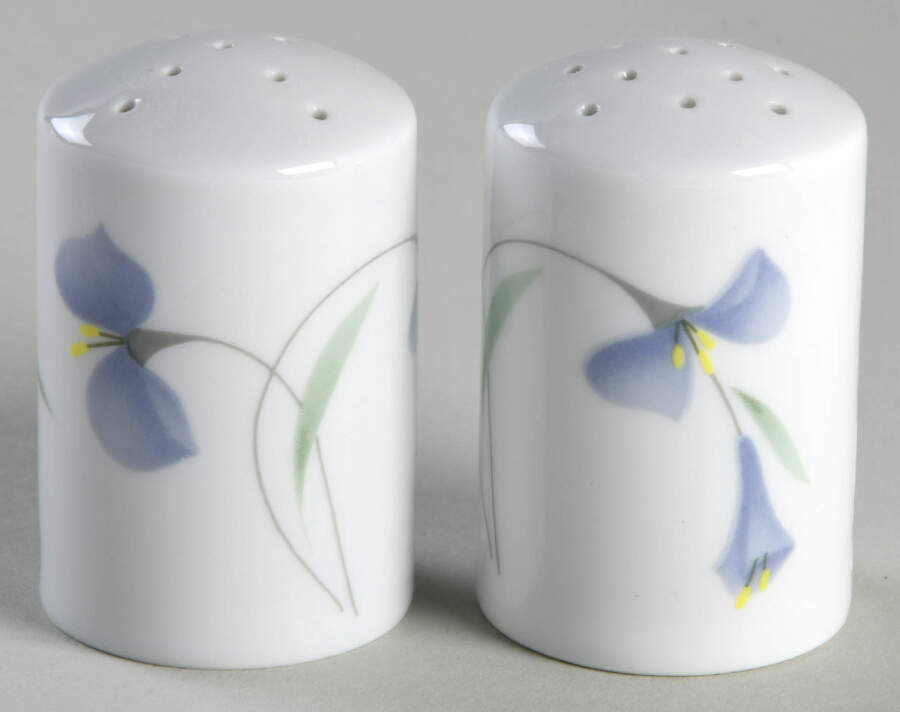 Midnight Salt & Pepper Set by Arzberg-1
