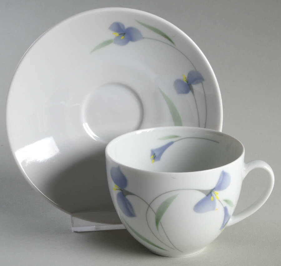 Midnight Flat Cup & Saucer Set by Arzberg-1