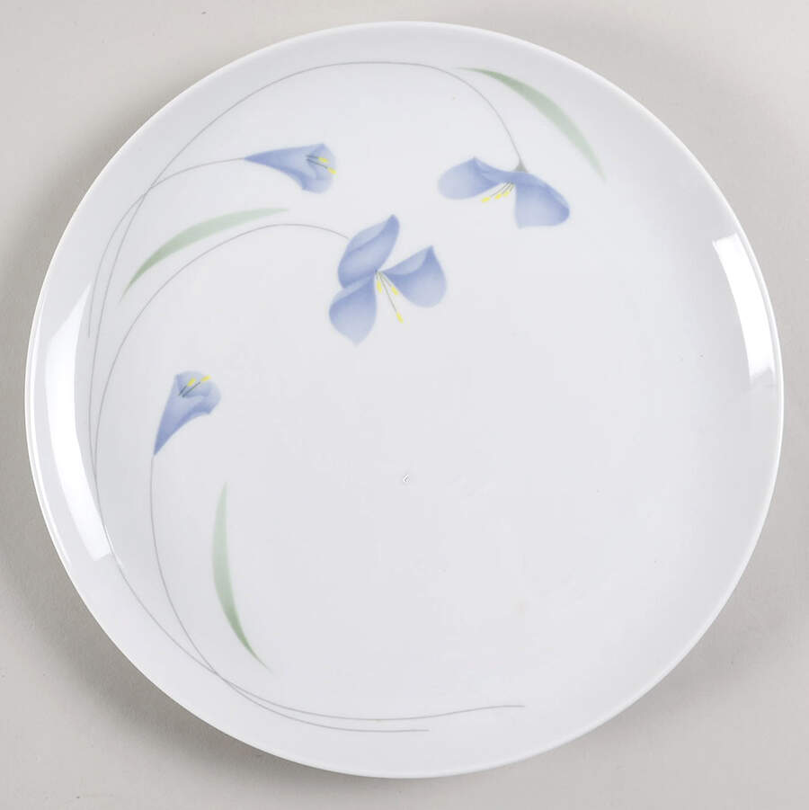 Midnight Large Dinner Plate by Arzberg-1