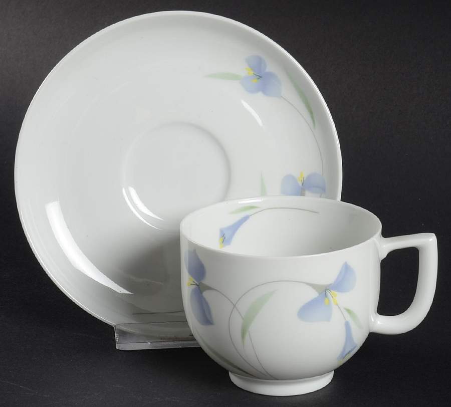 Midnight Flat Cup & Saucer Set by Arzberg-1