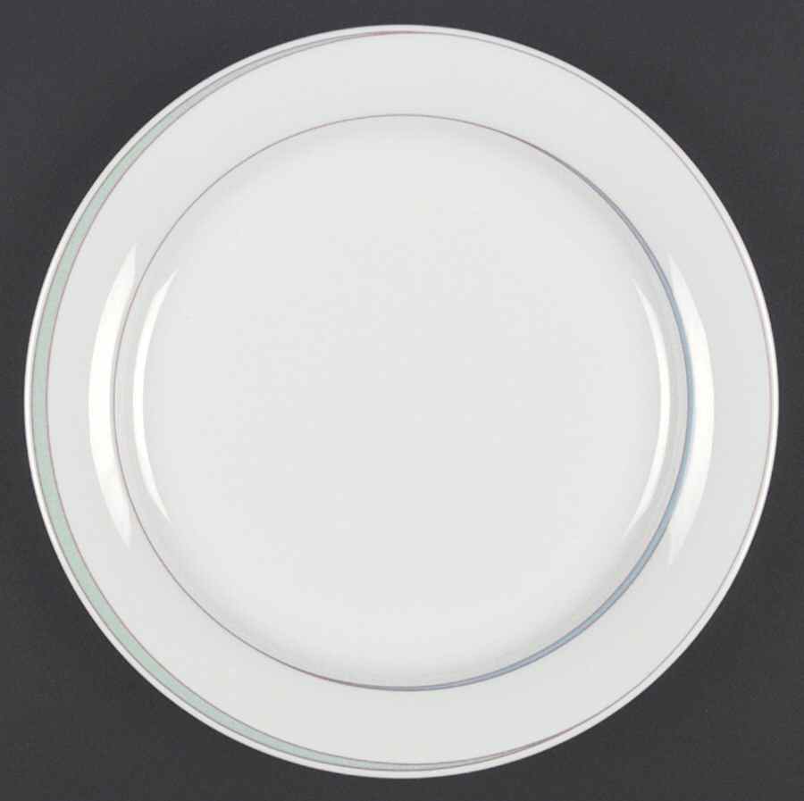 Orion Dinner Plate by Arzberg-1