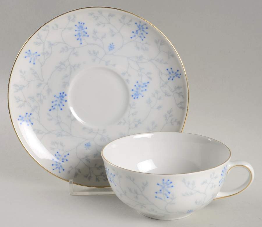 Skylark Flat Cup & Saucer Set by Arzberg-1