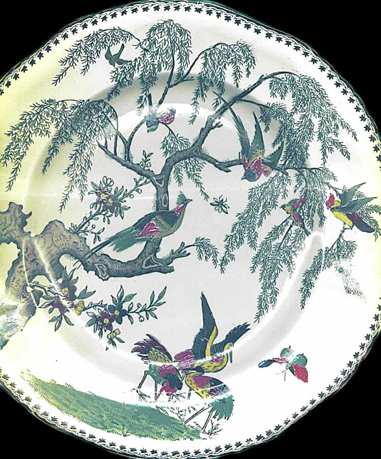 Koro (Scalloped, Green Trim) Dinner Plate by Ashworth Bros-1