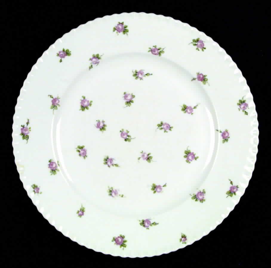 AUS13 Dinner Plate by Austria-1