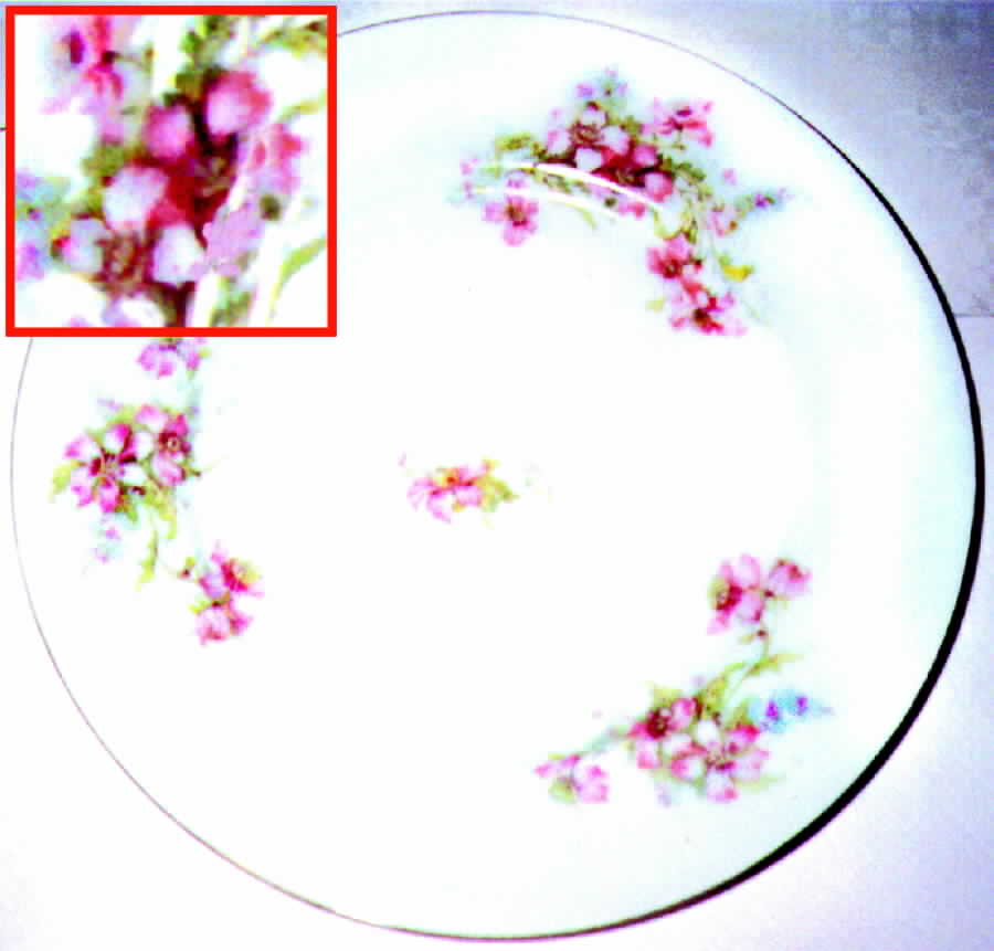 AUS17 Dinner Plate by Austria-1