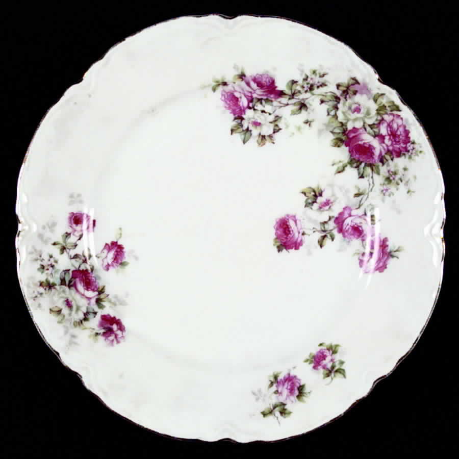 AUS28 (O. & E.G) Dinner Plate by Austria-1