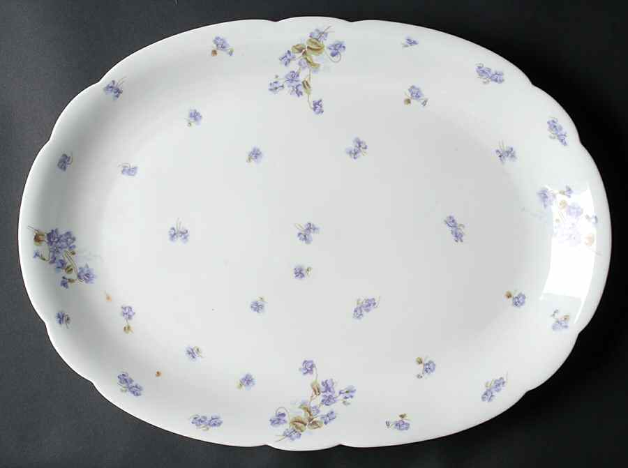 AUS4 18" Oval Serving Platter by Austria-1