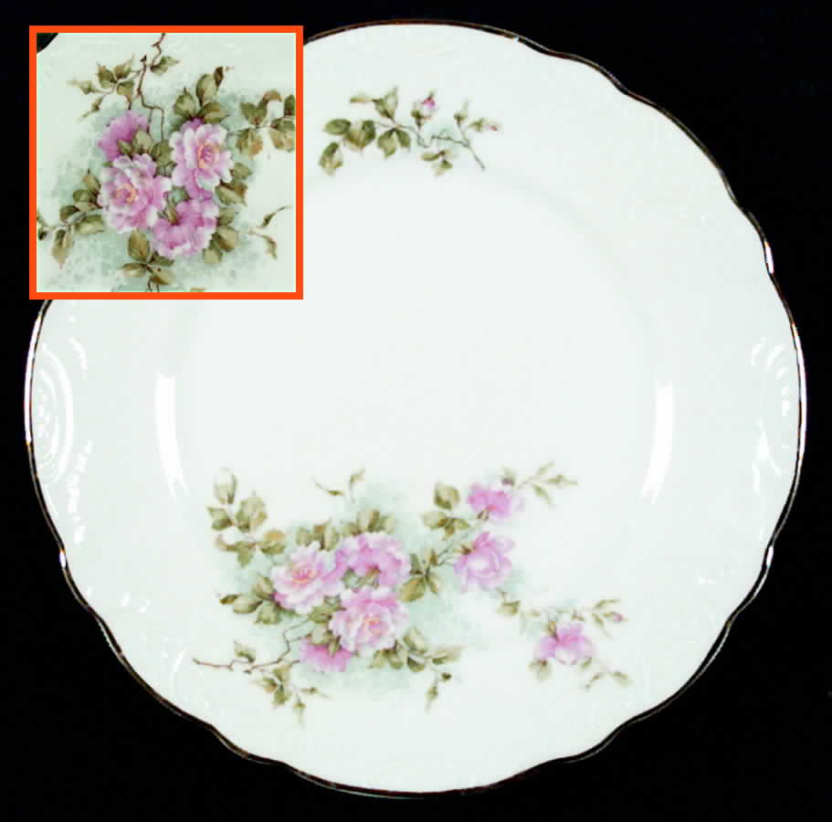 AUS40 Dinner Plate by Austria-1