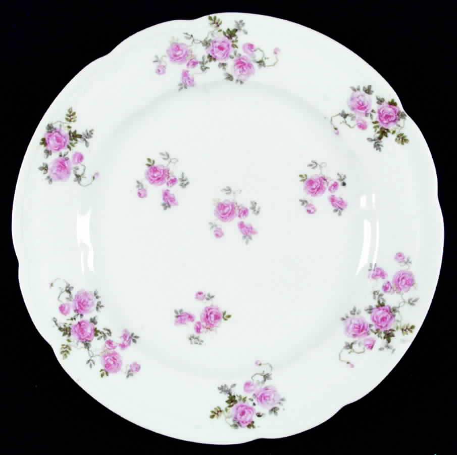 AUS47 Dinner Plate by Austria-1
