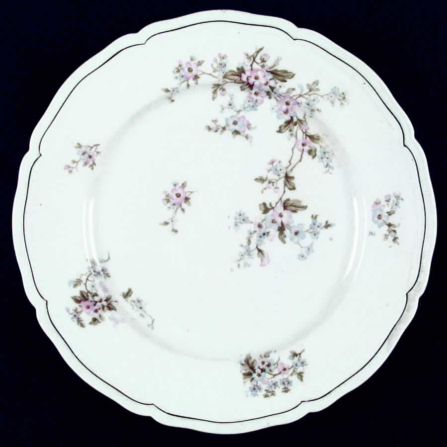 AUS51 Dinner Plate by Austria-1