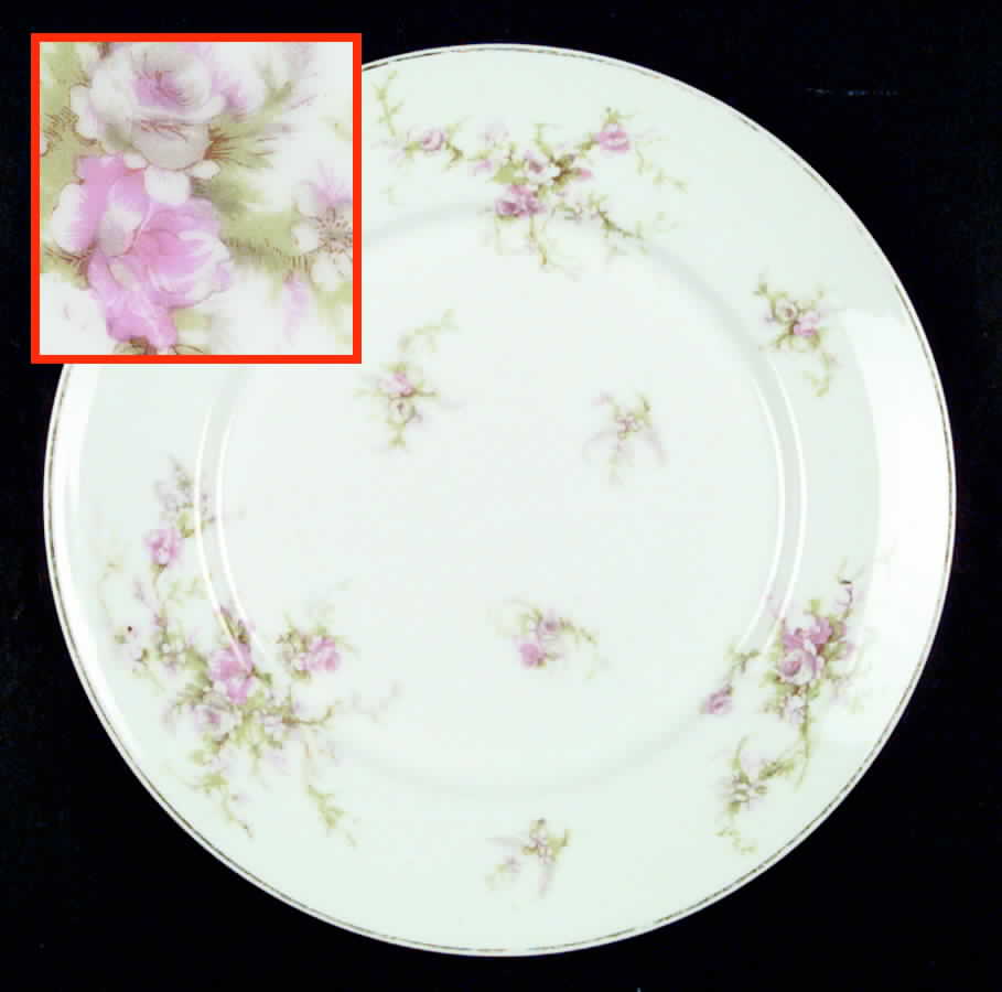 VTO7 Dinner Plate by Victoria (Austria)-1