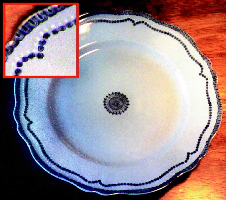 AUS55 Dinner Plate by Austria-1
