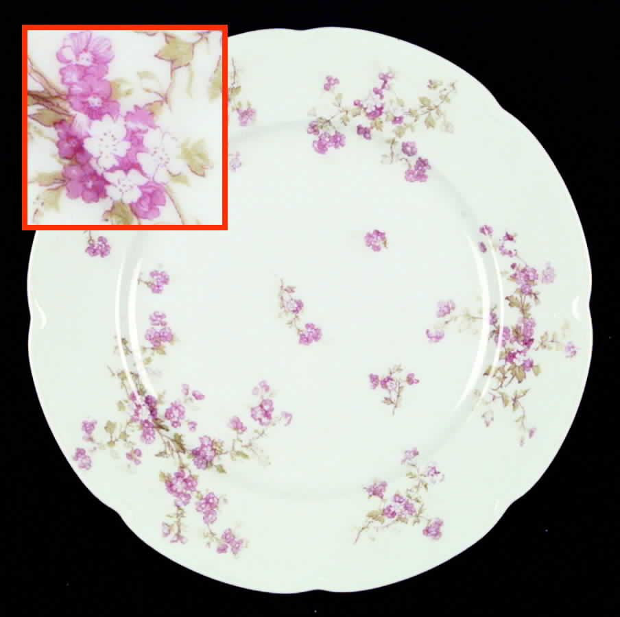AUS58 Dinner Plate by Austria-1