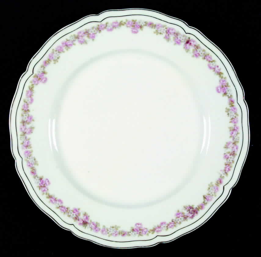 AUS6 Dinner Plate by Austria-1