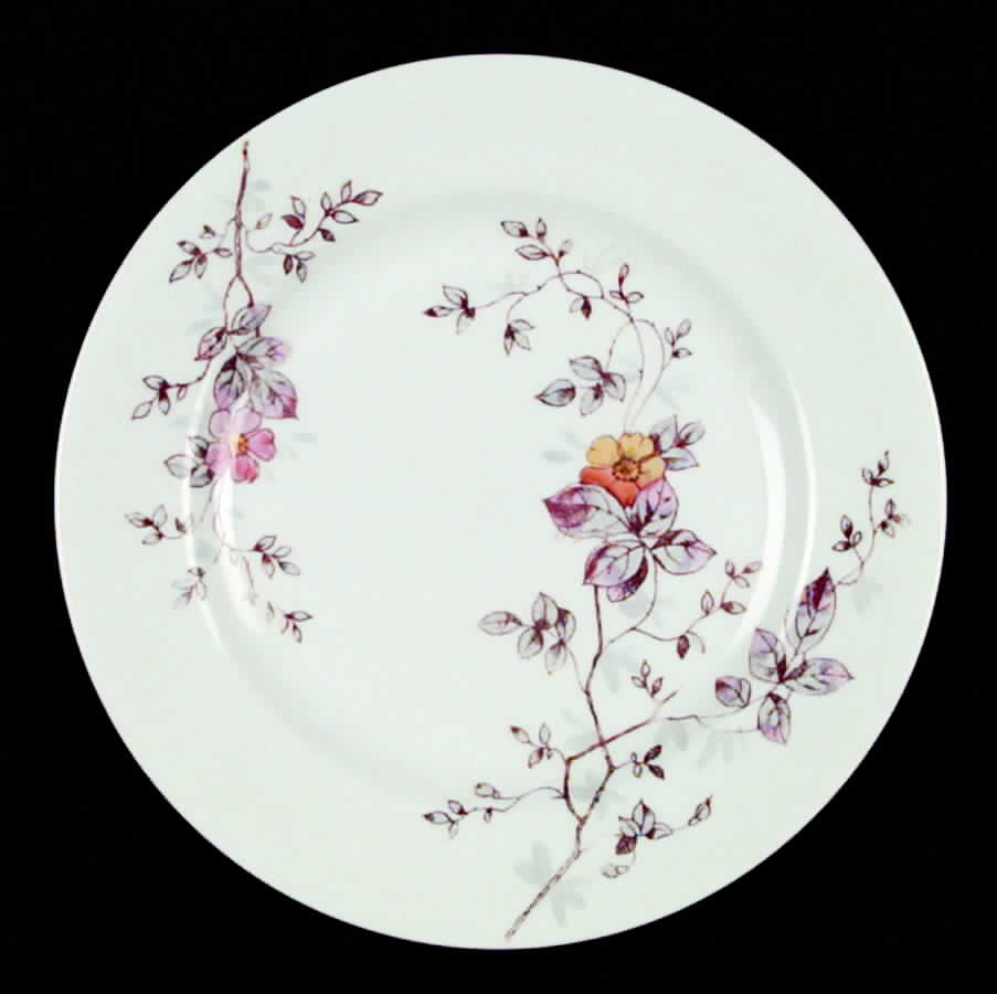 AUS61 Salad Plate by Austria-1