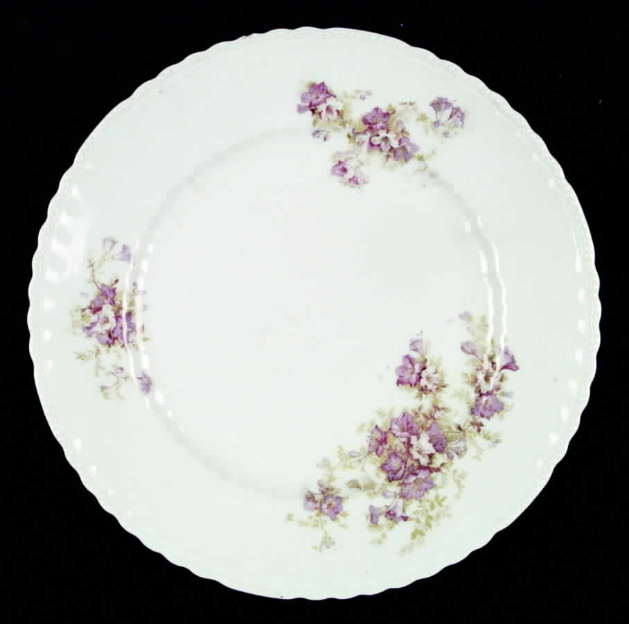 AUS62 Dinner Plate by Austria-1