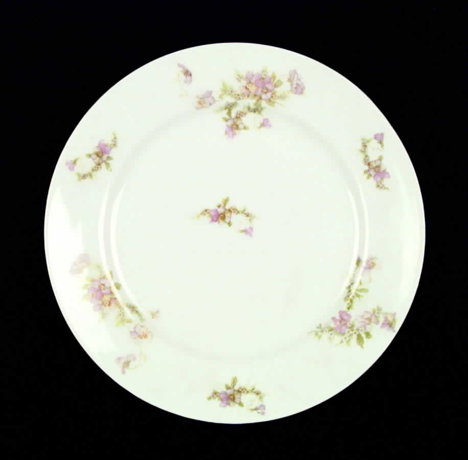 AUS71 Dinner Plate by Austria-1