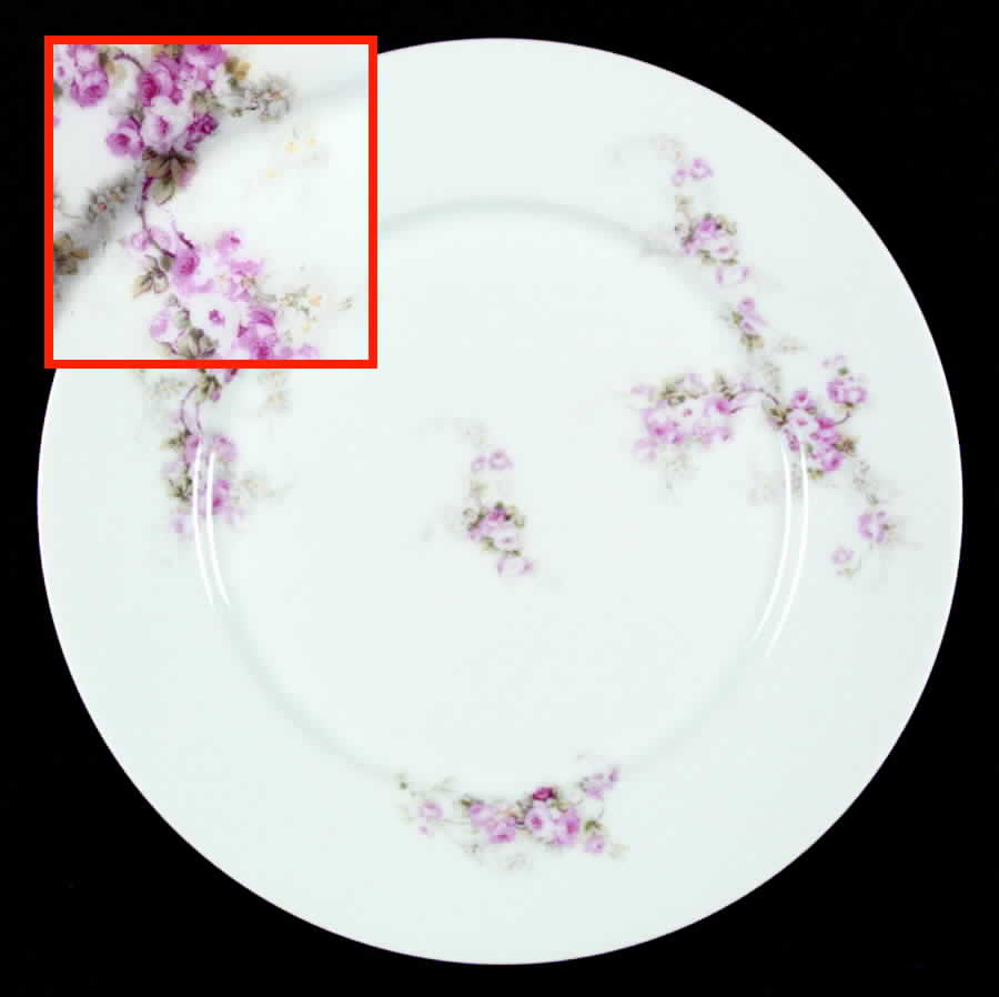 AUS72 Dinner Plate by Austria-1