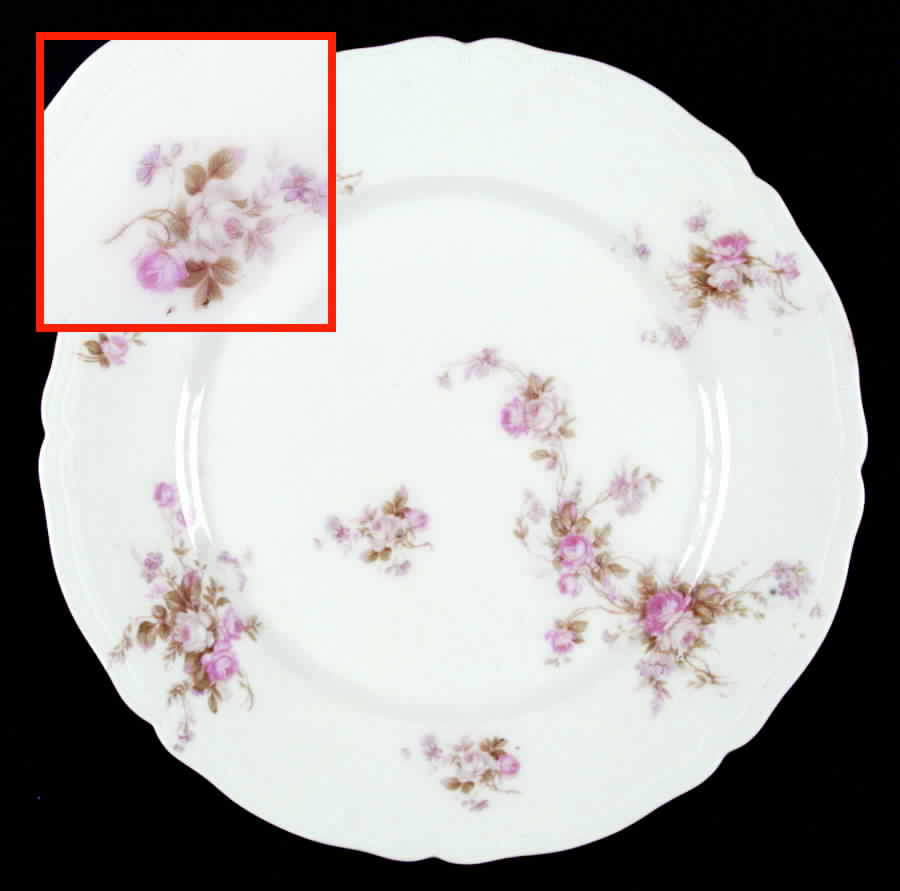 AUS76 Dinner Plate by Austria-1