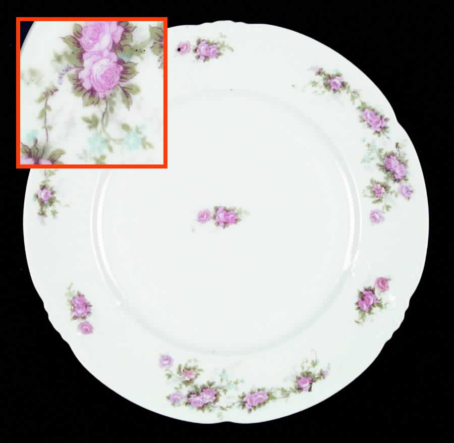 AUS78 Dinner Plate by Austria-1